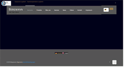 Desktop Screenshot of bergmann.de